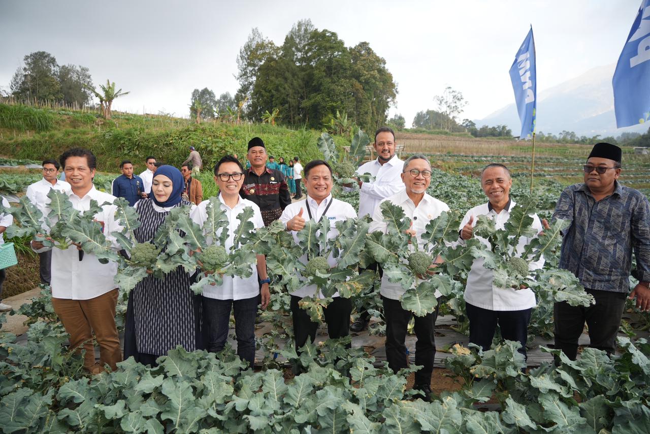 Menko Pangan RI Panen Brokoli hingga Ayam Petelur di Rumah Pangan PNM