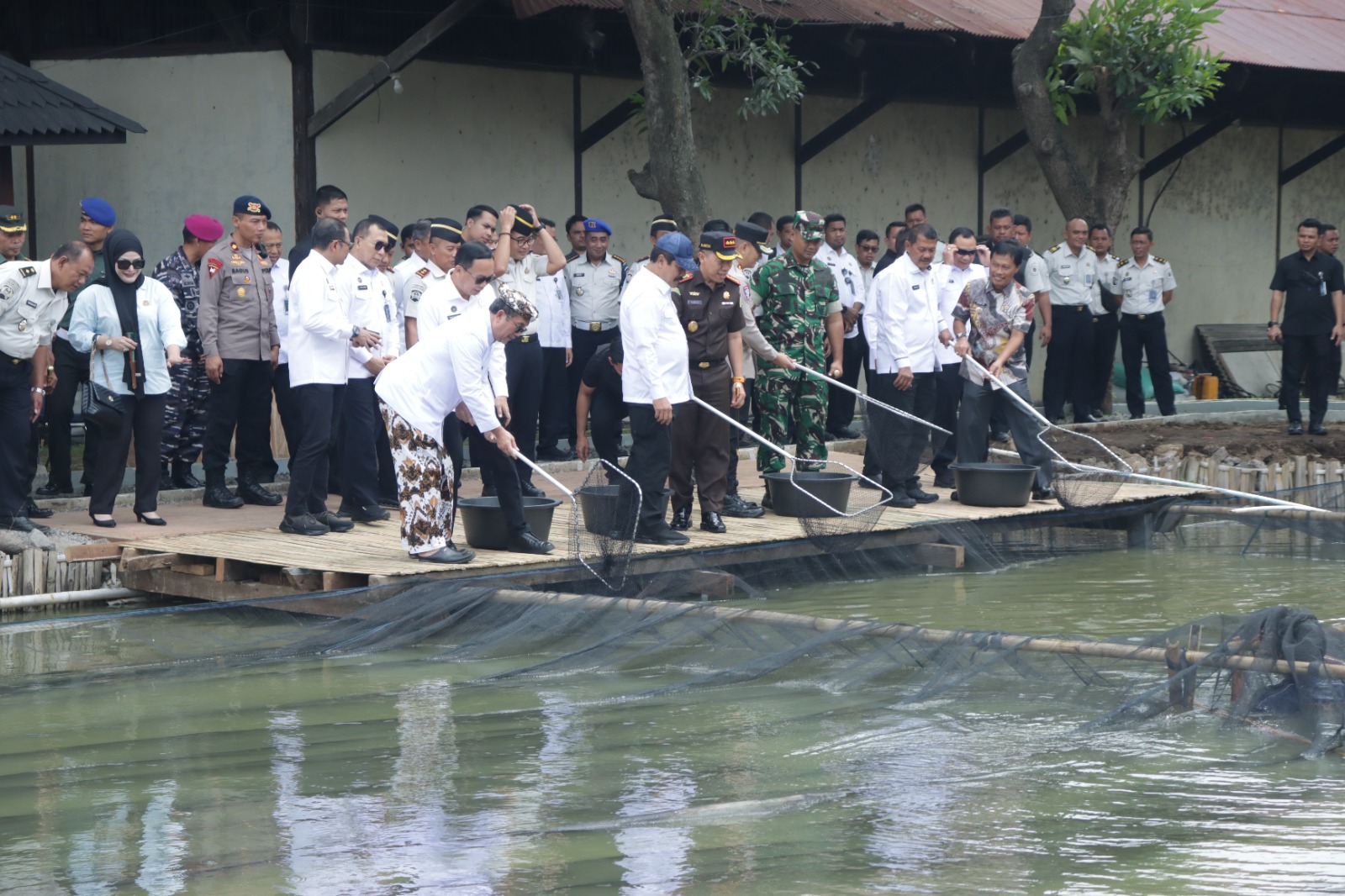  Dari Balik Jeruji, Warga Binaan Lapas Kesambi Panen Padi dan Ikan