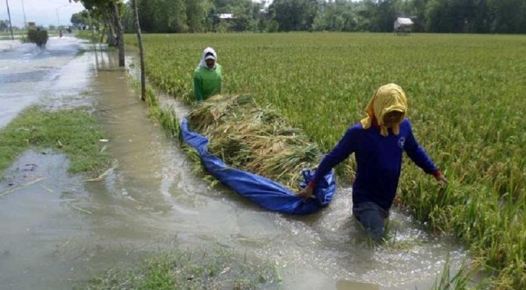 ILUSTRASI. Foto: Harian Nasional