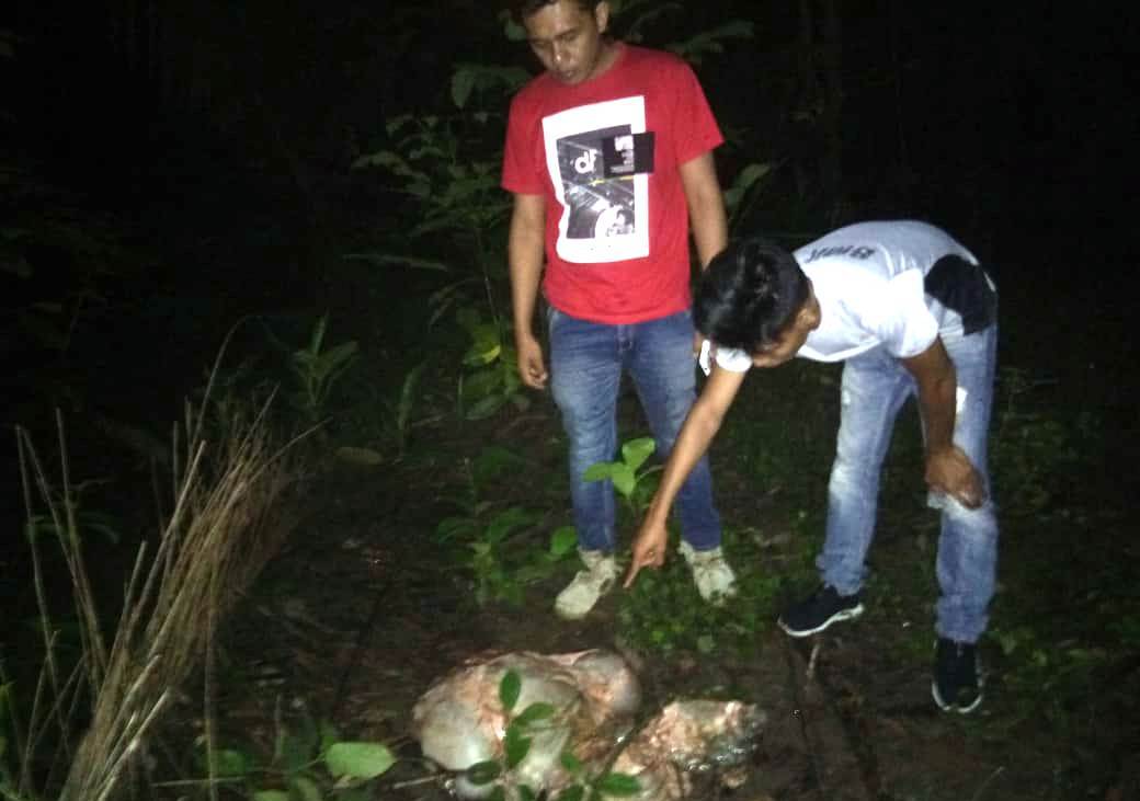 Bagian isi perut sapi yang ditemukan polisi di dalam hutan. Foto: dara.co.id/Dafri