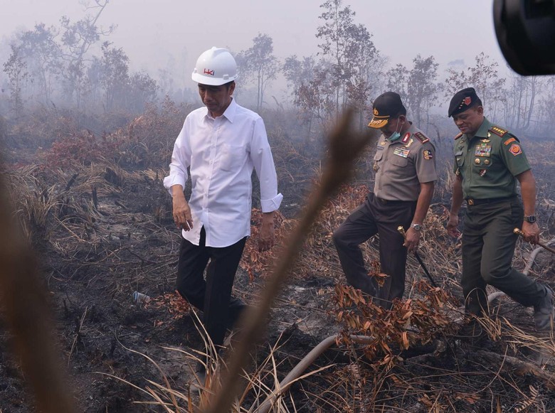 Ilustrasi (Foto: detikcom)