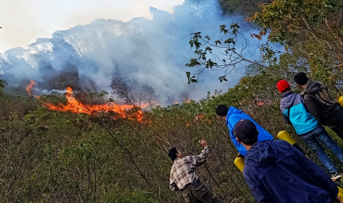 Kawasan hutan Gunung Papandayan yang berada di sekitar pos tiket masuk Taman Wisata Alam Papandayan mengalami kebakaran, Minggu (6/10/2019). Foto: BPBD Kabupaten Garut