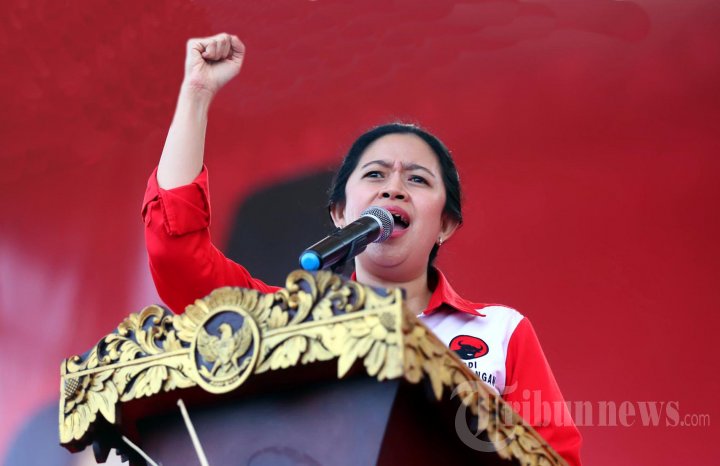 Puan Maharani (Foto: tribunnews)