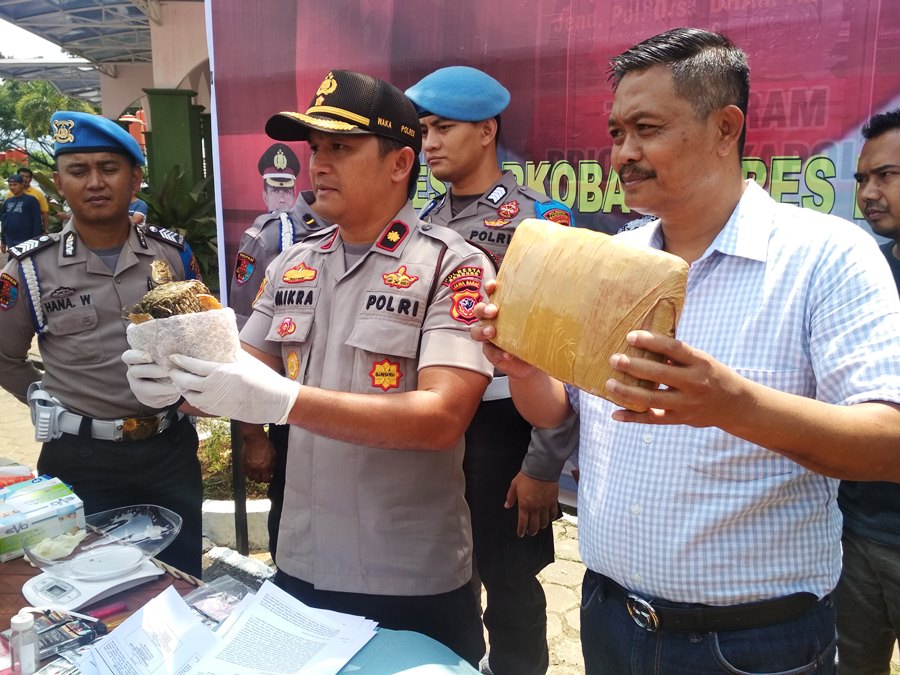 Wakapolresta Bandung, Kompol Mikranudin Hasibuan (tengah), dan Kasatres Narkoba, AKP Jaya Sofyan (kanan), menunjukkan barang bukti ganja saat gelar perkara kasus penyalahgunaan narkotika di Mapolresta Bandung, Soreang, Kabupaten Bandung, Jumat (29/11/2019).  Foto: dara.co.id/Zein