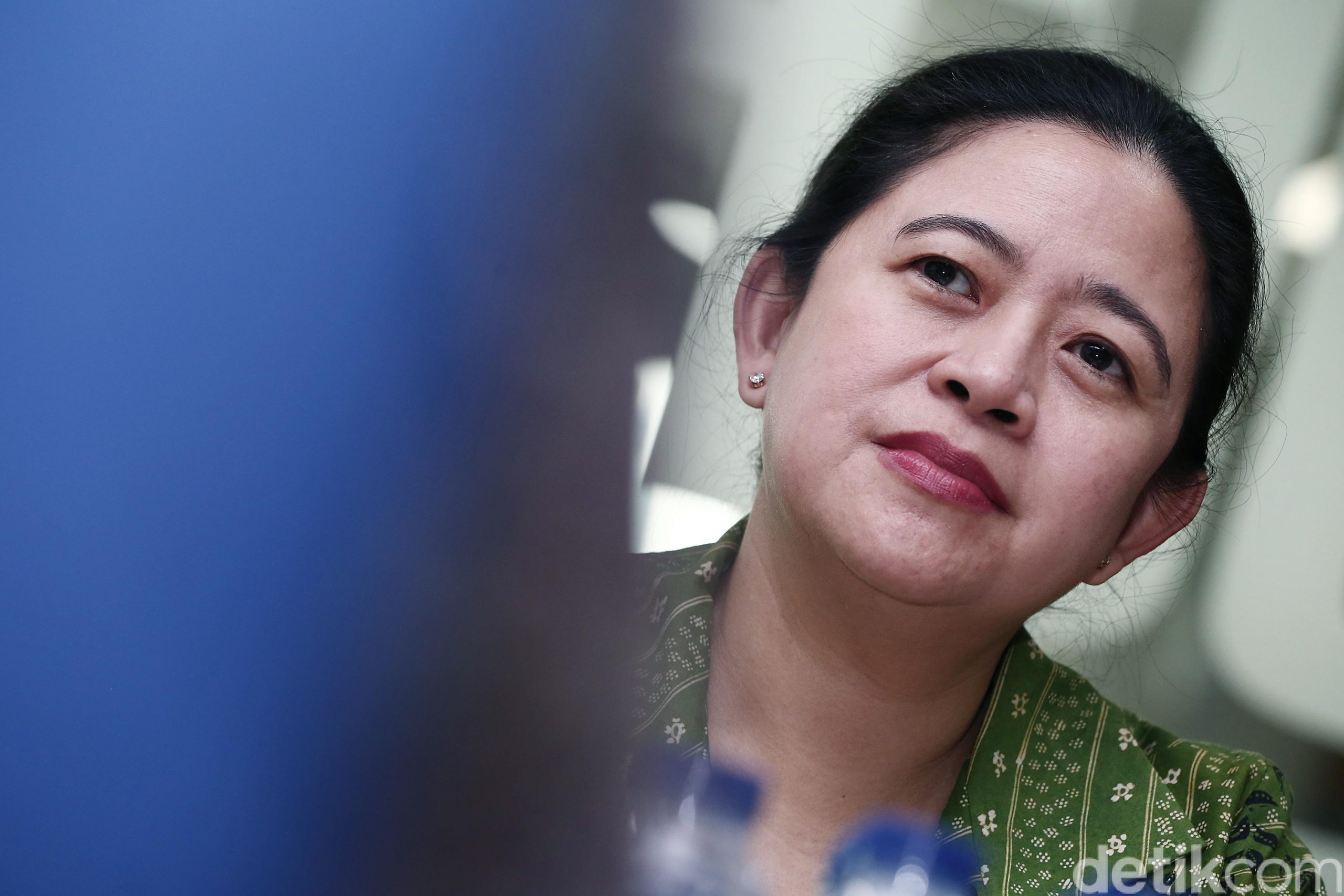 Ketua DPR, Puan Maharani (Foto: detikfood/detikcom/net)