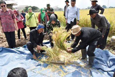 Ilustrasi (Foto : Pemprov Jabar)