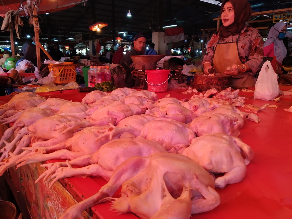 Ilustrasi/Pedagang daging ayam potong di Pasar Induk Pasir Hayam, Cilaku, Kabupaten Cianjur, Jawa Barat. (Foto: Angga Purwanda/dara.co.id)