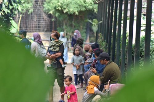 Objek wisata Kebun Binatang Bandung di Jalan Taman Sari, mulai ramai dikunjungi, Sabtu (27/6/2020). (Foto : IDN Times)
