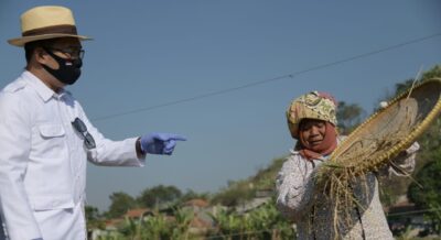 Ridwan Kamil saat meninjau panen raya di Cimahi (Foto: Humas Pemprov Jabar) 