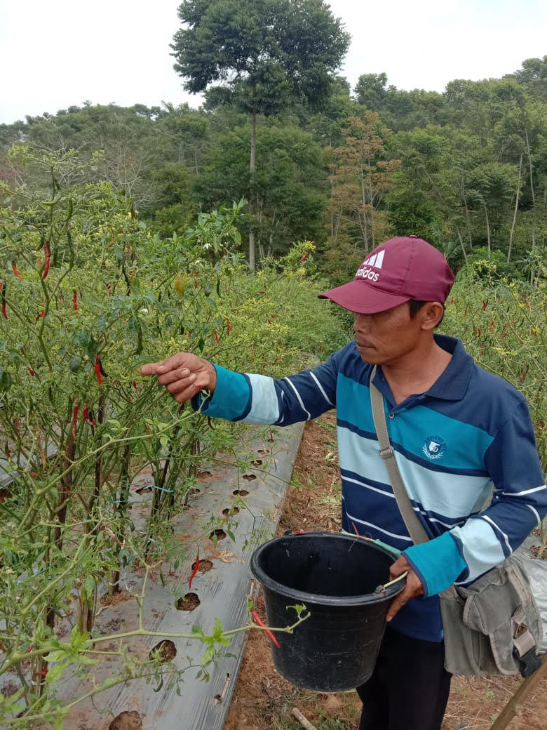 Dedi Effendi  (Foto: Ujang Aripudin)