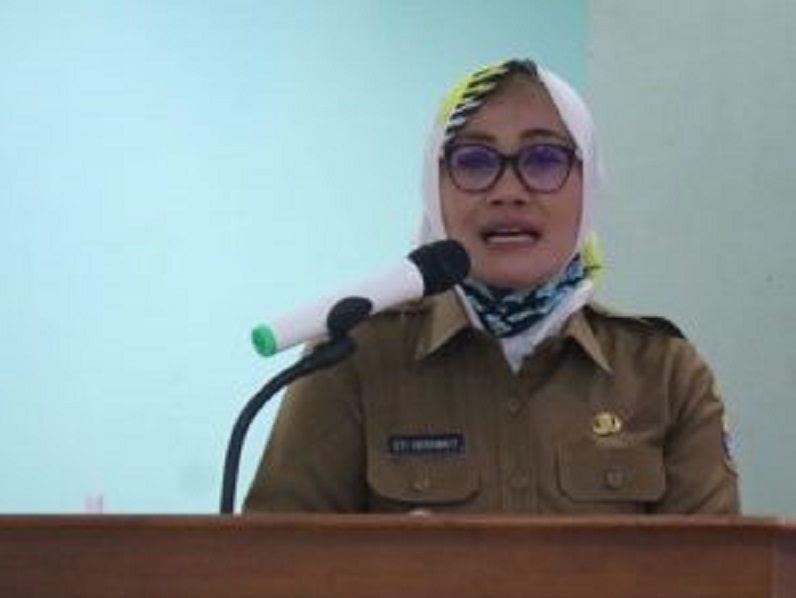 Wakil Wali Kota Cirebon, Dra H Eti Herawati