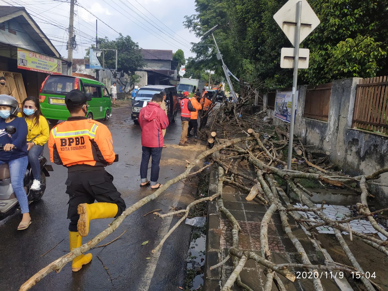 Pohon tumbang di Jalan Baros, Sukabumi. Pihak BPBD minta warga waspadai musim hujan (Foto: Riri Satiri/dara.co.id)