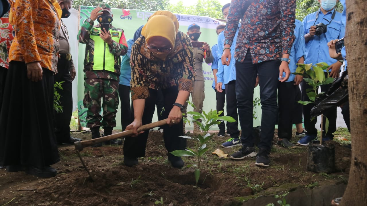 Wakil Wali Kota Cirebon, Dra. Hj. Eti Herawati menanam pohon (Foto: Yohanes/dara.co.id)