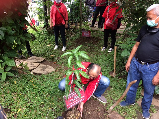 Ketua DPC PDI Perjuangan Achmad Nugraha (duduk) dan Wakil Wali Kota Bandung periode 2008-2013 Ayi Vivananda, melakukan penanaman pohon di Teras Cikapundung, Minggu (31/1/2021). (Foto: Avila/dara.co.id)