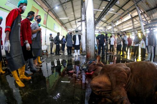 Ilustrasi Rumah Potong Hewan di Kota Bandung (Foto: PRFM/Pikiran Rakyat)