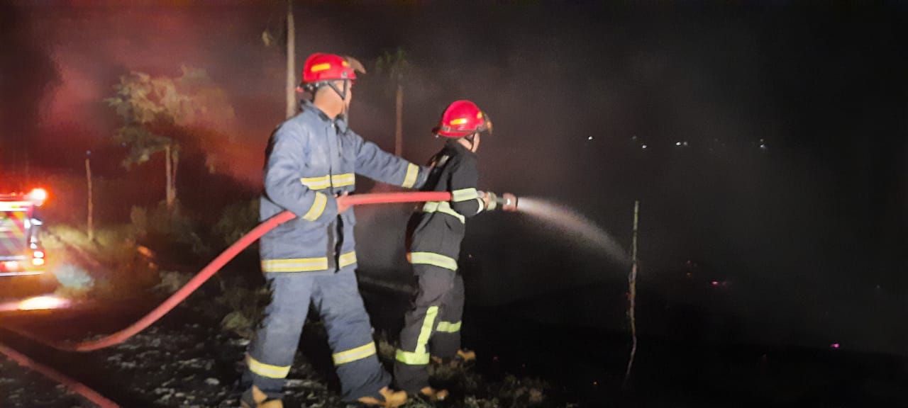 Peternakan ayam terbakar (Foto: Istimewa)