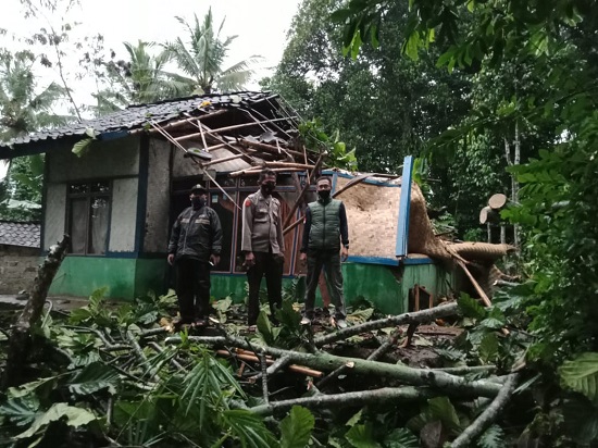 Tertimpa pohon tumbang, rumah Mak Iih rusak berat (Foto: Purwanda/dara.co.id)