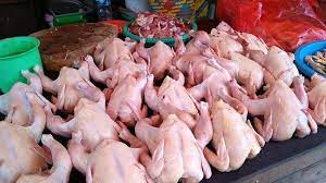 Ilustrasi daging ayam potong (Foto: tribunnews)