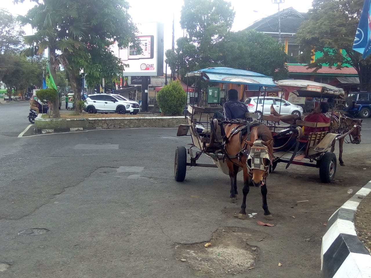 Transportasi tidak bermotor seperti andong atau delman rencananya akan diarahkan khusus untuk jalur menuju objek wisata guna mengurangi kemacetan di wilayah perkotaan Garut (Foto: Andre/dara.co.id)