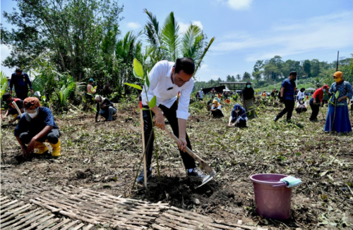 Presiden Joko Widodo melakukan penanaman pohon mangrove bersama masyarakat, di Desa Tritih Lor, Cilacap, Jateng, Kamis (23/09/2021). (Foto: BPMI Setpres/Laily Rachev)

