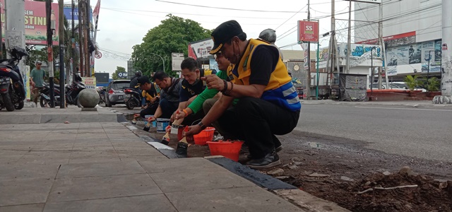 
Kepala Dinas PUTR Iwan Rizki Beserta Para Kabid dan Staf melakukan pengecetan trotoar di Jalan Tuparev Cirebon, Sabtu (5/12/2021). (Foto : bambang/dara.co.id)
