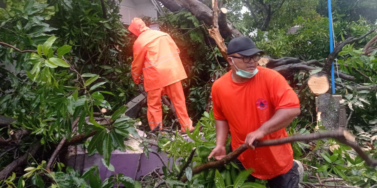 Warga dibantu petugas membersihkan pohon dan puing akibat diterjang angin puting beliung pada Rabu, (15/12). (BPBD Kab. Madiun