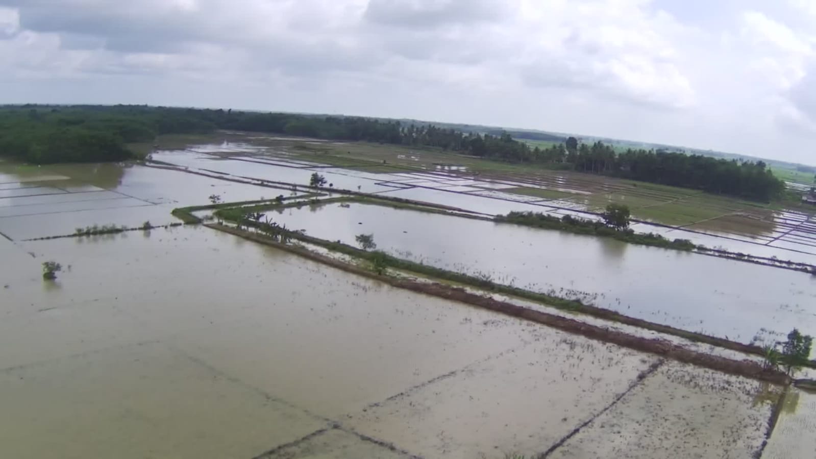 Kabupaten OKU Timur Banjir (Foto: Eko/dara.co.id)