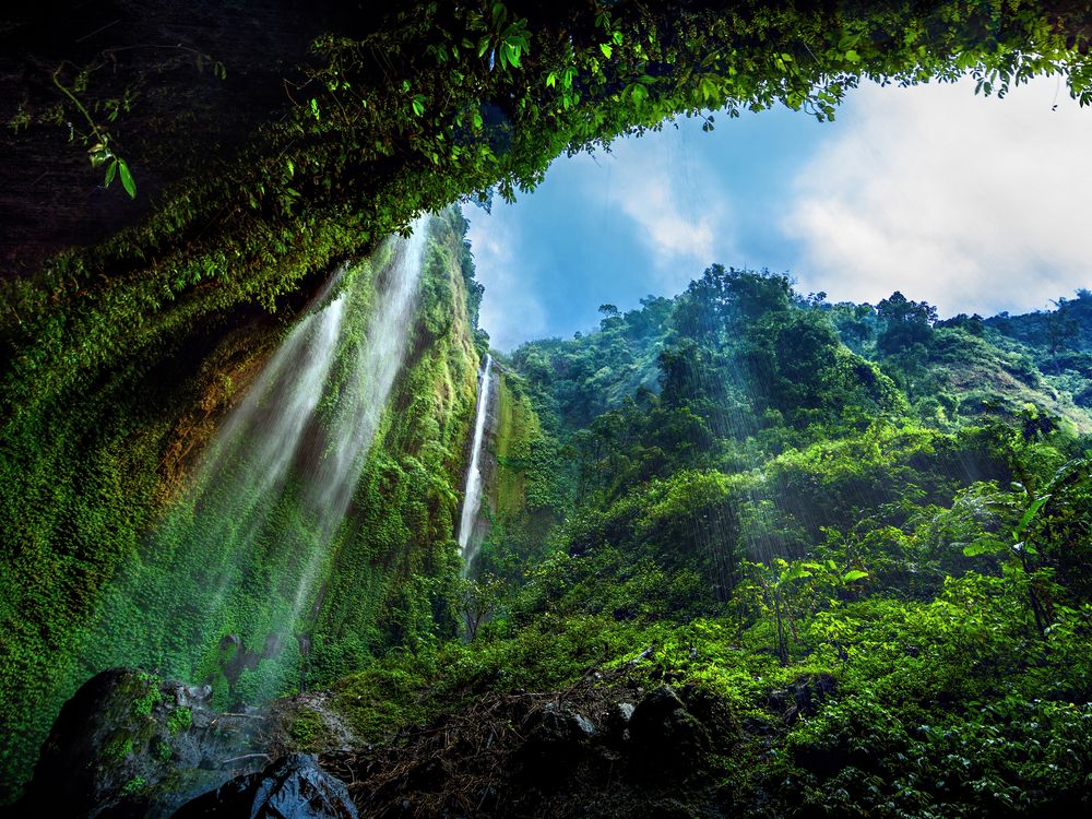 Ilustrasi Landskap pesona air terjun Madakaripura (Foto: Shutterstock/Purwanto Nugroho/Kementerian Pariwisata)