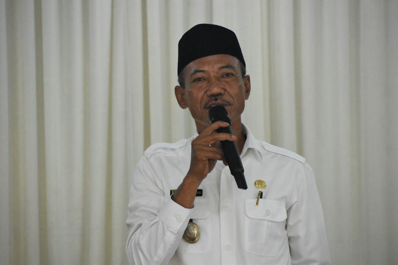 Wabup OKI, Shodiq (Foto: Istimewa)