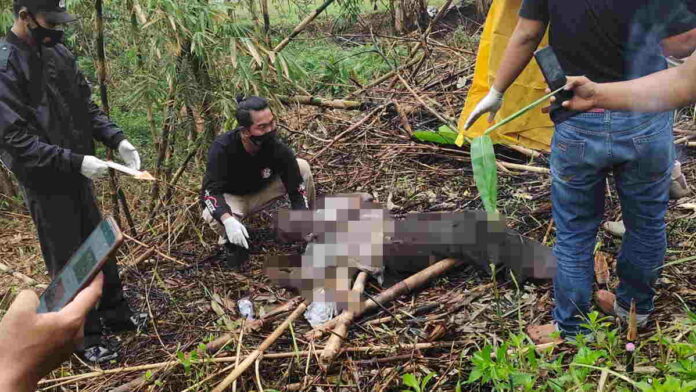 Penemuan mayat di areal Situ Leutik Kota Banjar (Foto: Istimewa/HR)