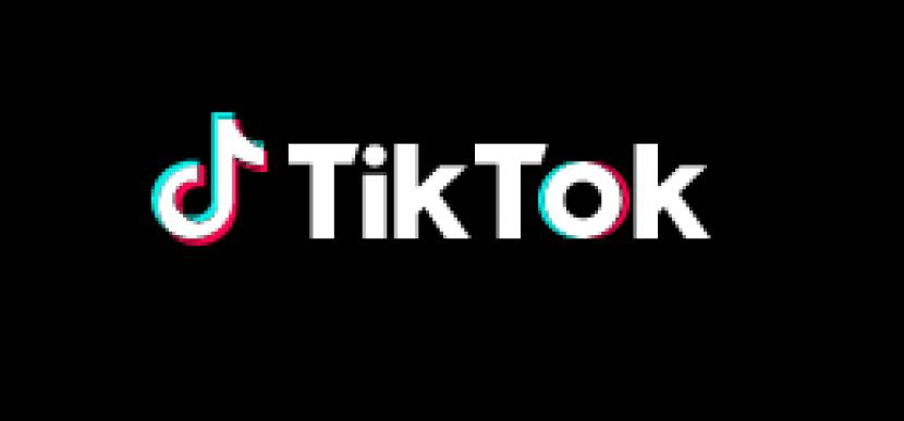 TikTok (Foto: Republika)