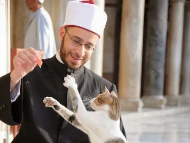 Syeikh Usamah Al-Azhar sedang bermain dengan kucing (Foto: Hidayatullah.com)