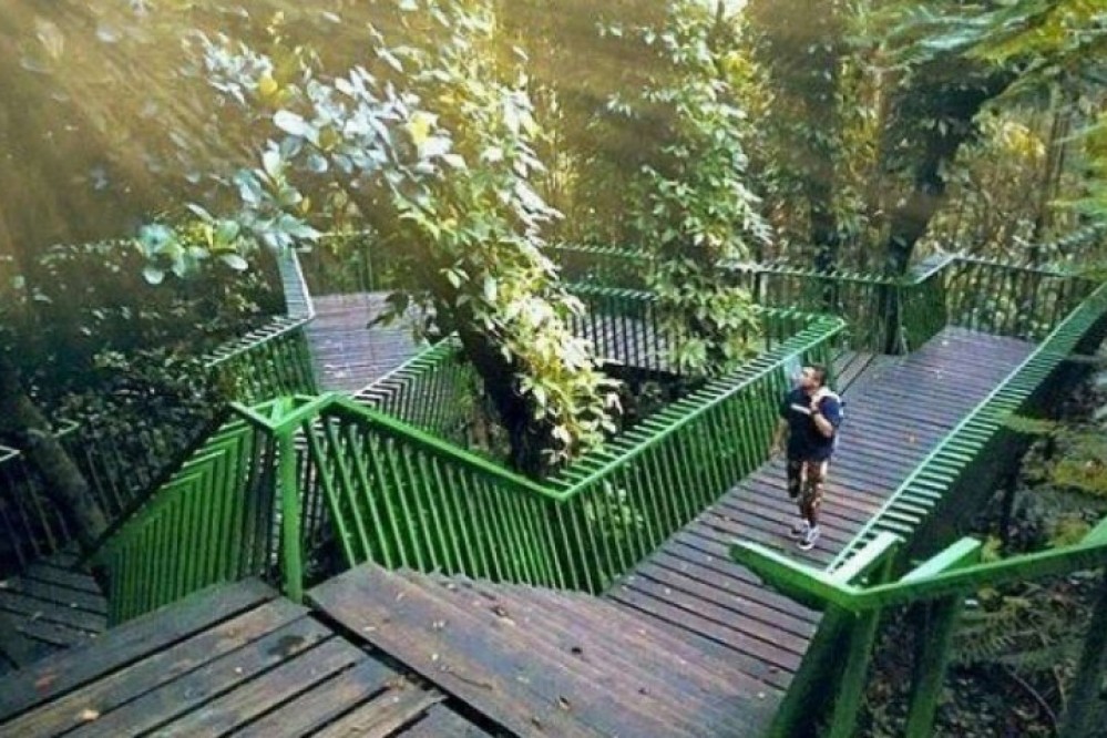 Forest Walk Babakan Siliwangi, Kota Bandung (Foto: bandung.go.id)