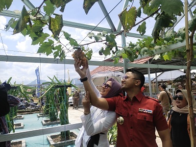 Bupati Bandung Barat Hengky Kurniawan bersama Sonya Fatmala pada saat panen perdana (Foto: Istimewa)