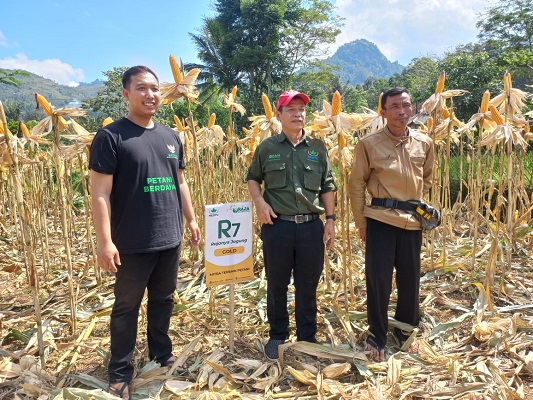 
Area Manajer Jawa Barat Jagung Raja, Heldiyana (tengah), saat evaluasi penanaman di Desa Mulyajaya, Kecamatan Banjarwangi, Kabupaten Garut, Senin (12/6/2023). (Foto: andre/dara)