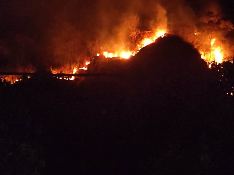 Gunung Jayanti (Foto: Istimewa)