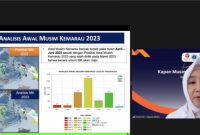 Kepala BMKG Dwikorita Karnawati dalam Live Webinar/Foto: BMKG