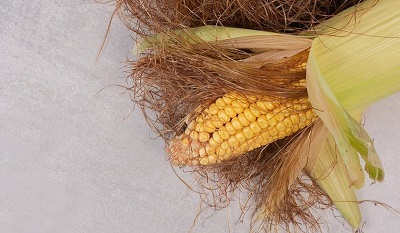 Rambut jagung ternyata memiliki manfaat bagi kesehatan tubuh. (Foto: PMJ News/Amazon)