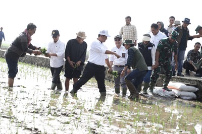 
Menteri Pertanian RI Andi Amran Sulaiman melakukan tanam padi di lahan sawah depan Kantor Kecamatan Kutawaringin, Kabupaten Bandung, Jawa Barat, Rabu (6/12/2023). (Foto: diskominfo)