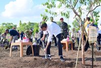 Presiden Jokowi bersama masyarakat Kota Kupang melaksanakan kegiatan tanam pohon di Jalan El Tari, Kota Kupang, NTT, Rabu (06/12/2023). (Foto: BPMI Setpres/Muchlis Jr)

