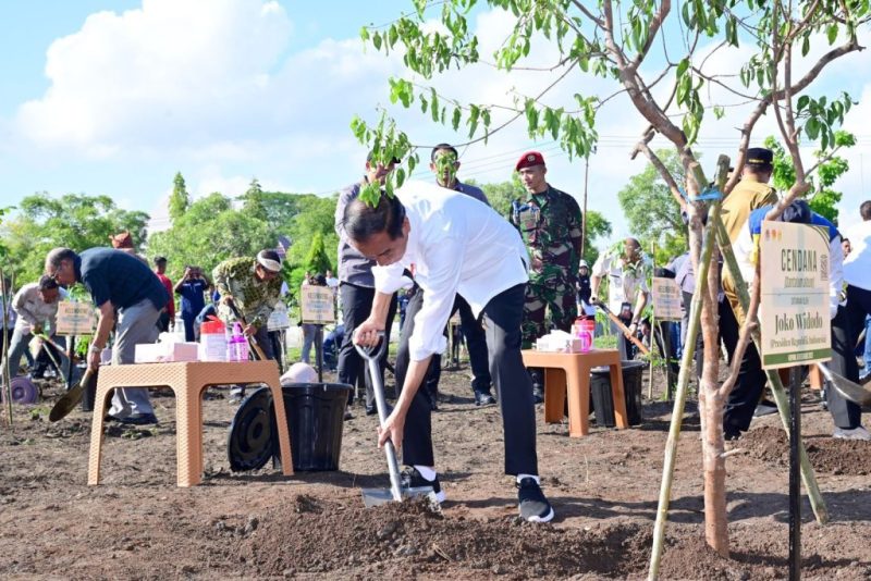 Presiden Jokowi bersama masyarakat Kota Kupang melaksanakan kegiatan tanam pohon di Jalan El Tari, Kota Kupang, NTT, Rabu (06/12/2023). (Foto: BPMI Setpres/Muchlis Jr)

