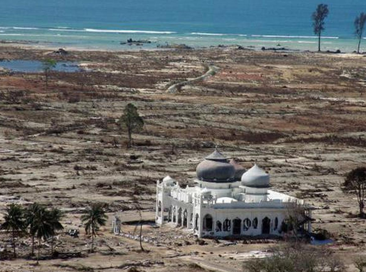 Foto: Situs Direktorat kekayaan Negara