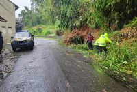 Petugas membersihkan material longsor berupa pohon bambu di Jalan Raya Cikajang-Bungbulang, tepatnya Kampung Cimanuk, Desa Mekarsari, Kecamatan Cikajang, Kabupaten Garut agar arus lalu lintas kembali berjalan normal, Selasa (23/1/2024)(Foto: Istimewa)