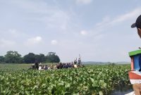 Rombongan Penjabat (Pj) Bupati Bandung Barat Arsan Latif bersama Sekda KBB, Ade Zakir serta sejumlah Perangkat Daerah KBB saat mengunjungi warga Kampung Cijuhung  RW 11 Desa Margaluyu, Kecamatan Cipeundeuy, Kabupaten Bandung Barat (KBB).(Foto: Heny/dara)
