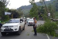 Petugas kepolisian melakukan pengaturan lalu lintas agar tidak terjadi kemacetan akibat pohon tumbang di Jalan Raya Leles (Foto: Istimewa)