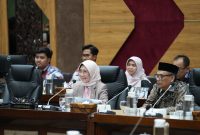 
Wakil Ketua Komisi X DPR RI, Hetifah Sjaifudian memimpin Sidang Komisi X DPR RI tentang rekomendasi naturalisasi Eliano Reijnders dan Mees Hilgers, di Gedung DPR RI, Jakarta pada Selasa (10/9/024). (Foto: PSSI)

