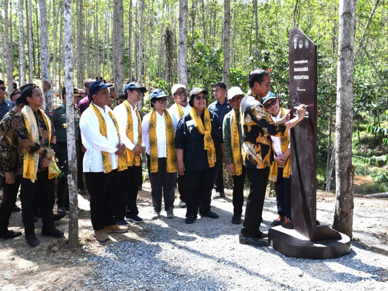 Presiden Joko Widodo (Jokowi) melakukan peninjauan sekaligus pencanangan kawasan Wanagama Nusantara yang berada di Zona Rimba Kota B Kawasan Inti Pusat Pemerintahan (KIPP), Ibu Kota Nusantara (IKN), Jumat (13/09/2024). (Foto: BPMI Setpres)