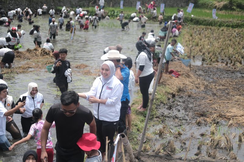 Calon Wakil Bupati nomor urut 2, Putri Karlina, nyebur ke kolam berbaur bersama ratusan warga di Jalan Baru Leles, Kecamatan Leles, Kabupaten Garut, Minggu (13/10/2024)(Foto: Istimewa)