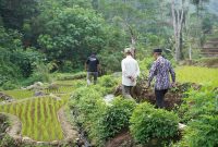  Penjabat Bupati Subang, Imran mengunjungi sumber air alami
di Desa Buniara, Kecamatan Tanjungsiang, Kamis (24/10/2024).(Foto: yudi/dara)
