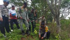 Polsek Cikelet bersama unsur Forkopimcam melakukan penanaman pohon di kawasan Pantai Gunung Geder Desa Cijambe, Kecamatan Cikelet, Kabupaten Garut, Jumat (15/11/2024)(Foto: Ist)